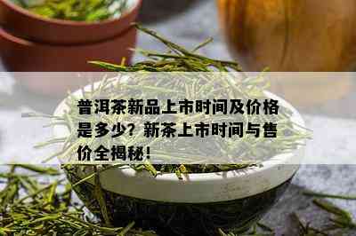 普洱茶新品上市时间及价格是多少？新茶上市时间与售价全揭秘！