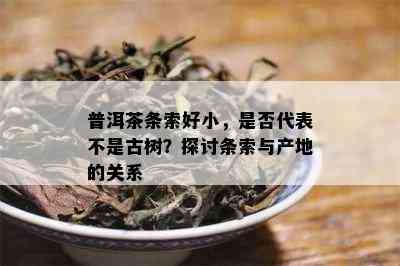 普洱茶条索好小，是否代表不是古树？探讨条索与产地的关系