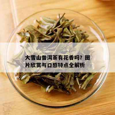 大雪山普洱茶有花香吗？图片欣赏与口感特点全解析