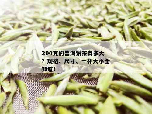 200克的普洱饼茶有多大？规格、尺寸、一杯大小全知道！