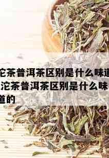 沱茶普洱茶区别是什么味道-沱茶普洱茶区别是什么味道的