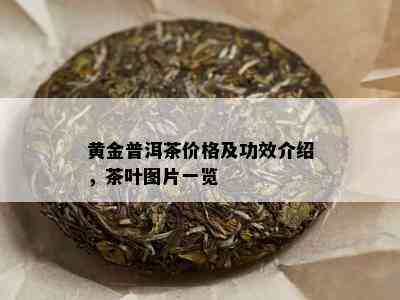 黄金普洱茶价格及功效介绍，茶叶图片一览