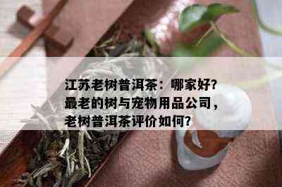 江苏老树普洱茶：哪家好？最老的树与宠物用品公司，老树普洱茶评价如何？