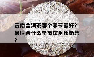 云南普洱茶哪个季节更好？最适合什么季节饮用及销售？