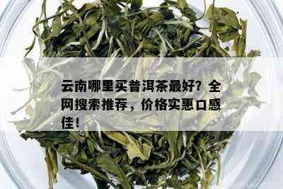 云南哪里买普洱茶更好？全网搜索推荐，价格实惠口感佳！