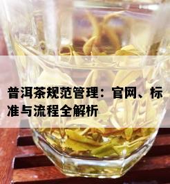 普洱茶规范管理：官网、标准与流程全解析