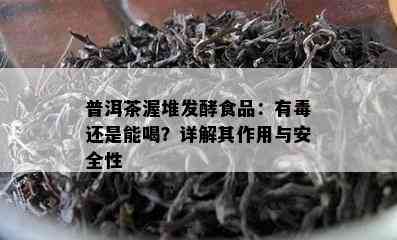 普洱茶渥堆发酵食品：有还是能喝？详解其作用与安全性