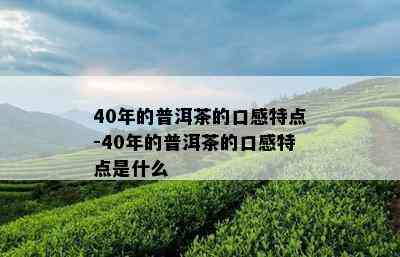 40年的普洱茶的口感特点-40年的普洱茶的口感特点是什么