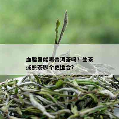 血脂高能喝普洱茶吗？生茶或熟茶哪个更适合？