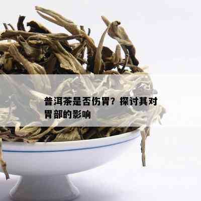 普洱茶是否伤胃？探讨其对胃部的影响