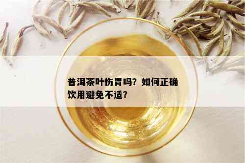 普洱茶叶伤胃吗？如何正确饮用避免不适？