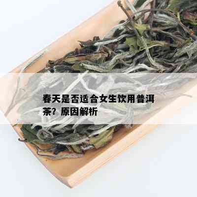 春天是否适合女生饮用普洱茶？原因解析