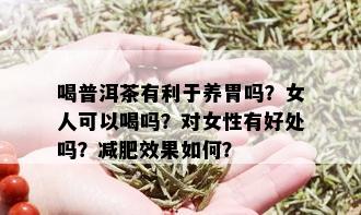 喝普洱茶有利于养胃吗？女人可以喝吗？对女性有好处吗？减肥效果如何？