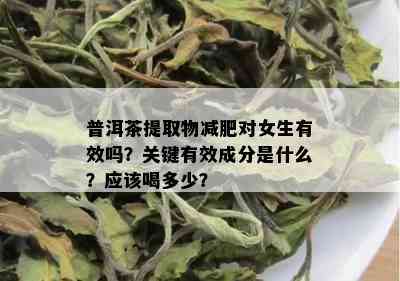 普洱茶提取物减肥对女生有效吗？关键有效成分是什么？应该喝多少？