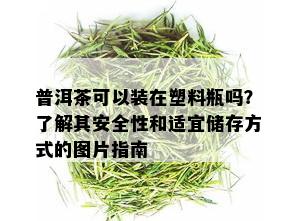 普洱茶可以装在塑料瓶吗？了解其安全性和适宜储存方式的图片指南