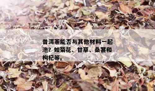 普洱茶能否与其他材料一起泡？如菊花、甘草、桑葚和枸杞等。