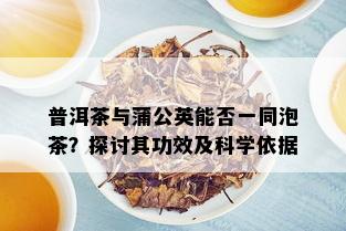 普洱茶与蒲公英能否一同泡茶？探讨其功效及科学依据