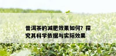 普洱茶的减肥效果如何？探究其科学依据与实际效果