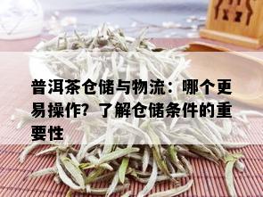 普洱茶仓储与物流：哪个更易操作？了解仓储条件的重要性