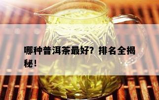 哪种普洱茶更好？排名全揭秘！