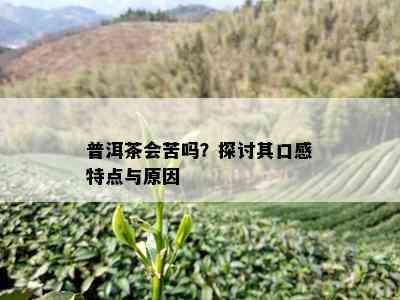 普洱茶会苦吗？探讨其口感特点与原因