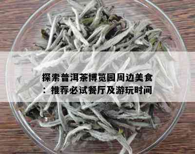 探索普洱茶博览园周边美食：推荐必试餐厅及游玩时间