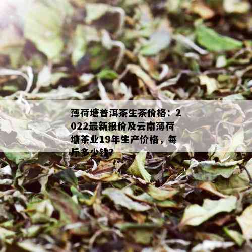 薄荷塘普洱茶生茶价格：2022最新报价及云南薄荷塘茶业19年生产价格，每斤多少钱？