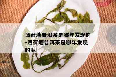 薄荷塘普洱茶是哪年发现的-薄荷塘普洱茶是哪年发现的呢