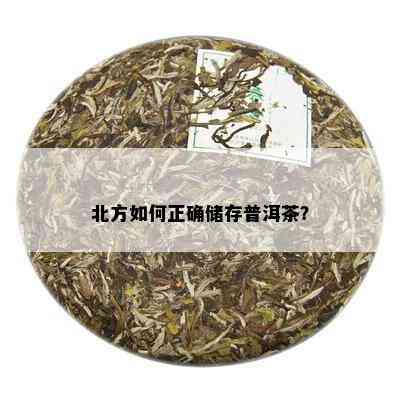 北方如何正确储存普洱茶？