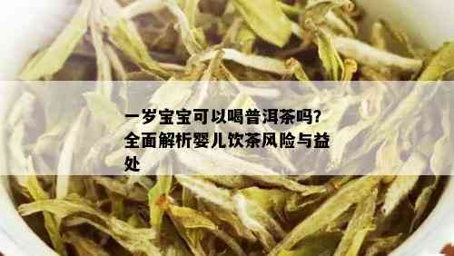 一岁宝宝可以喝普洱茶吗？全面解析婴儿饮茶风险与益处