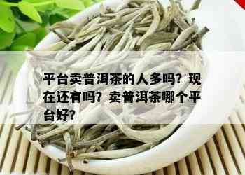 平台卖普洱茶的人多吗？现在还有吗？卖普洱茶哪个平台好？