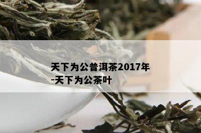 天下为公普洱茶2017年-天下为公茶叶