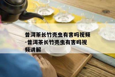 普洱茶长竹壳虫有害吗视频-普洱茶长竹壳虫有害吗视频讲解