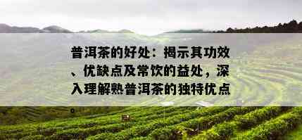 普洱茶的好处：揭示其功效、优缺点及常饮的益处，深入理解熟普洱茶的独特优点。