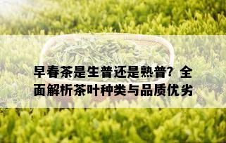 早春茶是生普还是熟普？全面解析茶叶种类与品质优劣