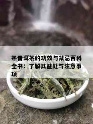 熟普洱茶的功效与禁忌百科全书：了解其益处与注意事项