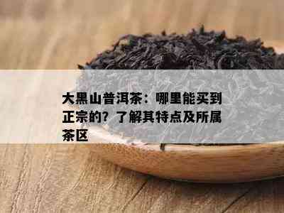 大黑山普洱茶：哪里能买到正宗的？了解其特点及所属茶区