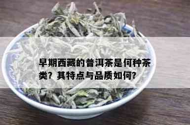 早期 *** 的普洱茶是何种茶类？其特点与品质如何？