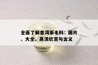 全面了解普洱茶毛料：图片、大全、高清欣赏与含义