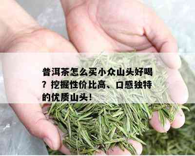 普洱茶怎么买小众山头好喝？挖掘性价比高、口感独特的优质山头！