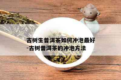 古树生普洱茶如何冲泡更好-古树普洱茶的冲泡方法