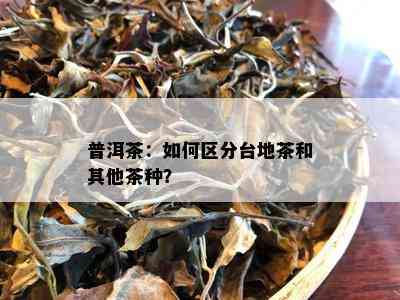 普洱茶：如何区分台地茶和其他茶种？