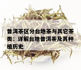 普洱茶区分台地茶与其它茶类：详解台地普洱茶及其种植历史