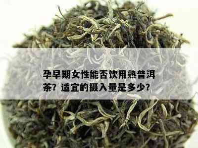 孕早期女性能否饮用熟普洱茶？适宜的摄入量是多少？