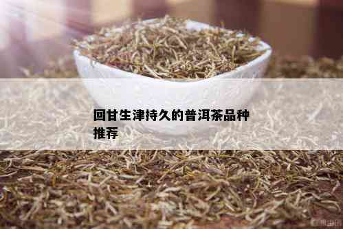 回甘生津持久的普洱茶品种推荐