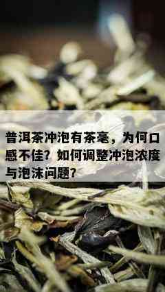 普洱茶冲泡有茶毫，为何口感不佳？如何调整冲泡浓度与泡沫问题？