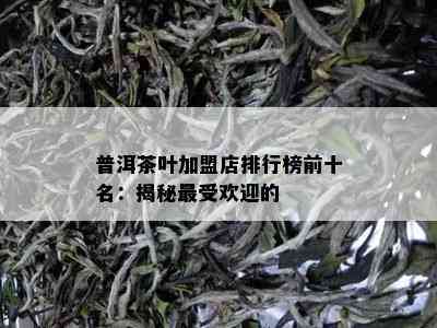 普洱茶叶加盟店排行榜前十名：揭秘更受欢迎的