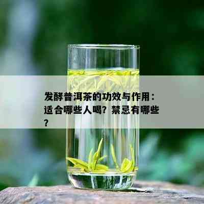 发酵普洱茶的功效与作用：适合哪些人喝？禁忌有哪些？