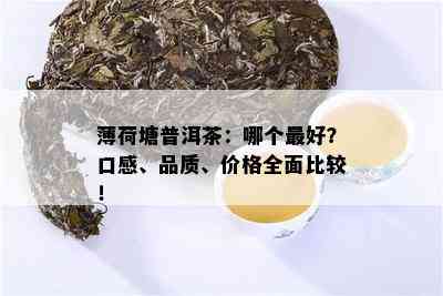 薄荷塘普洱茶：哪个更好？口感、品质、价格全面比较！