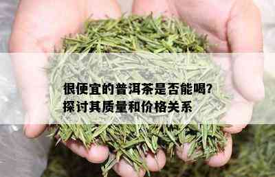 很便宜的普洱茶是否能喝？探讨其质量和价格关系